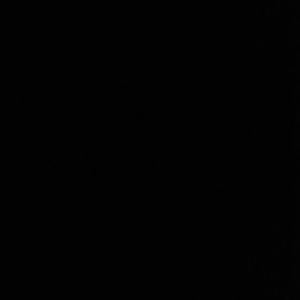 Meet your Posher, Asani